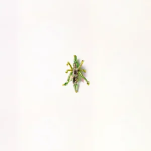 Green Whisper (Big)