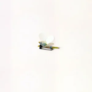 Small Dragonfly
