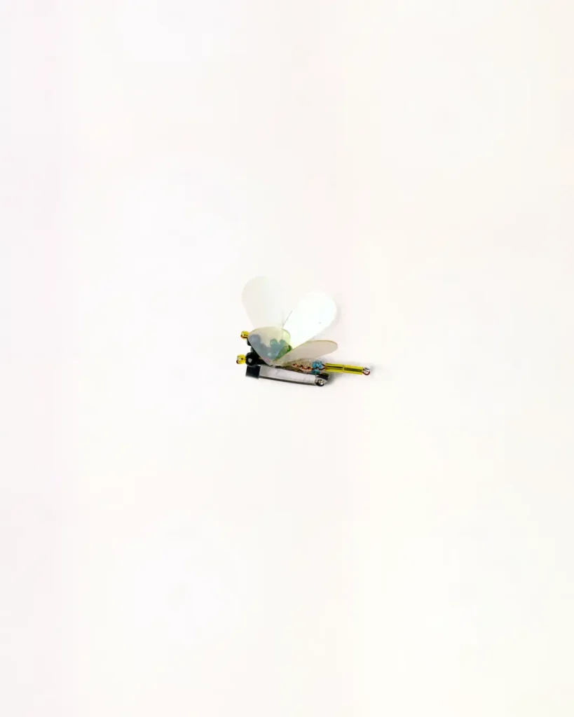Small Dragonfly