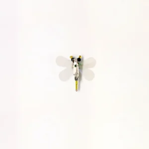 Small Dragonfly