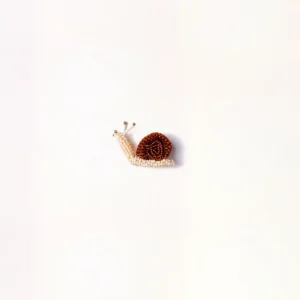 Slow Trail