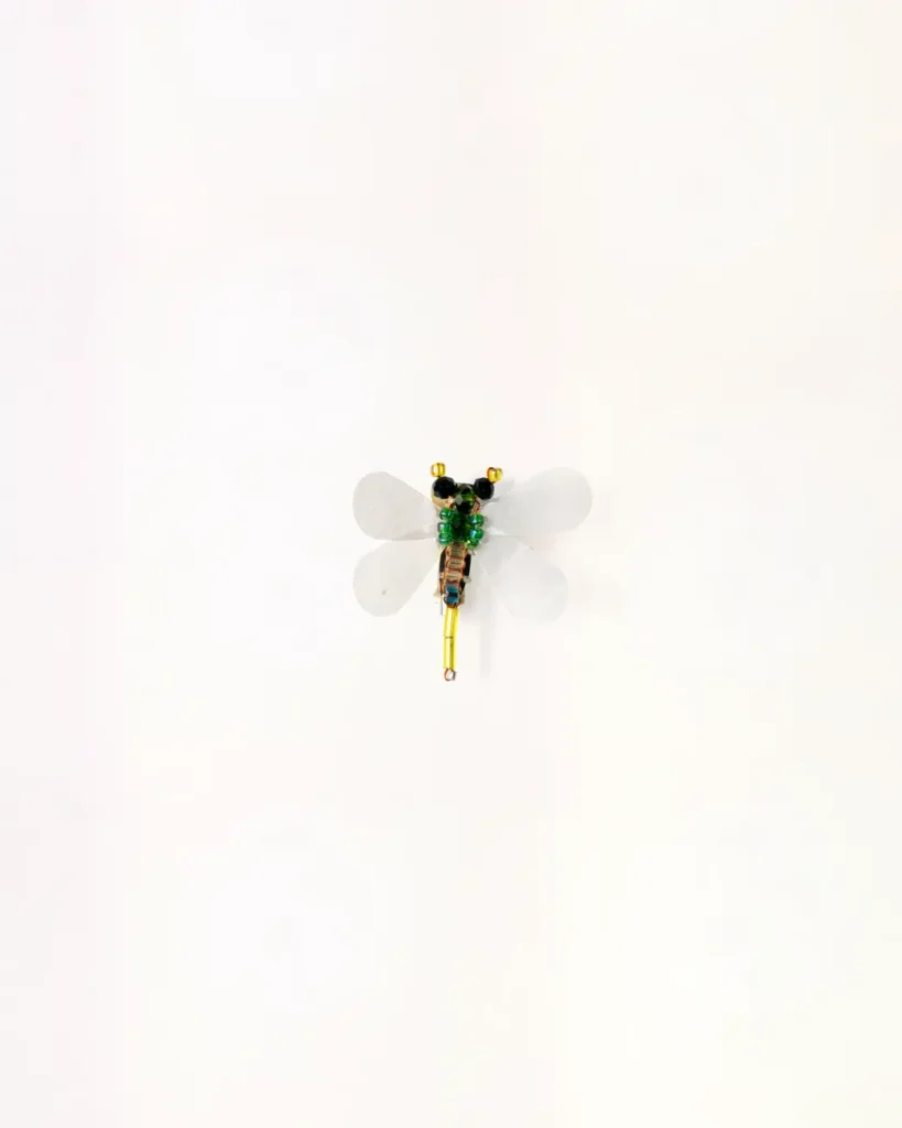 Small Dragonfly