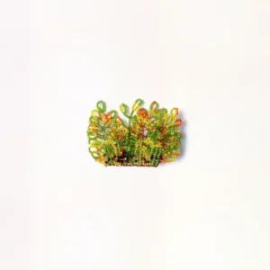 Ember Leaves
